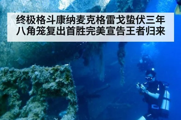 终极格斗康纳麦克格雷戈蛰伏三年八角笼复出首胜完美宣告王者归来